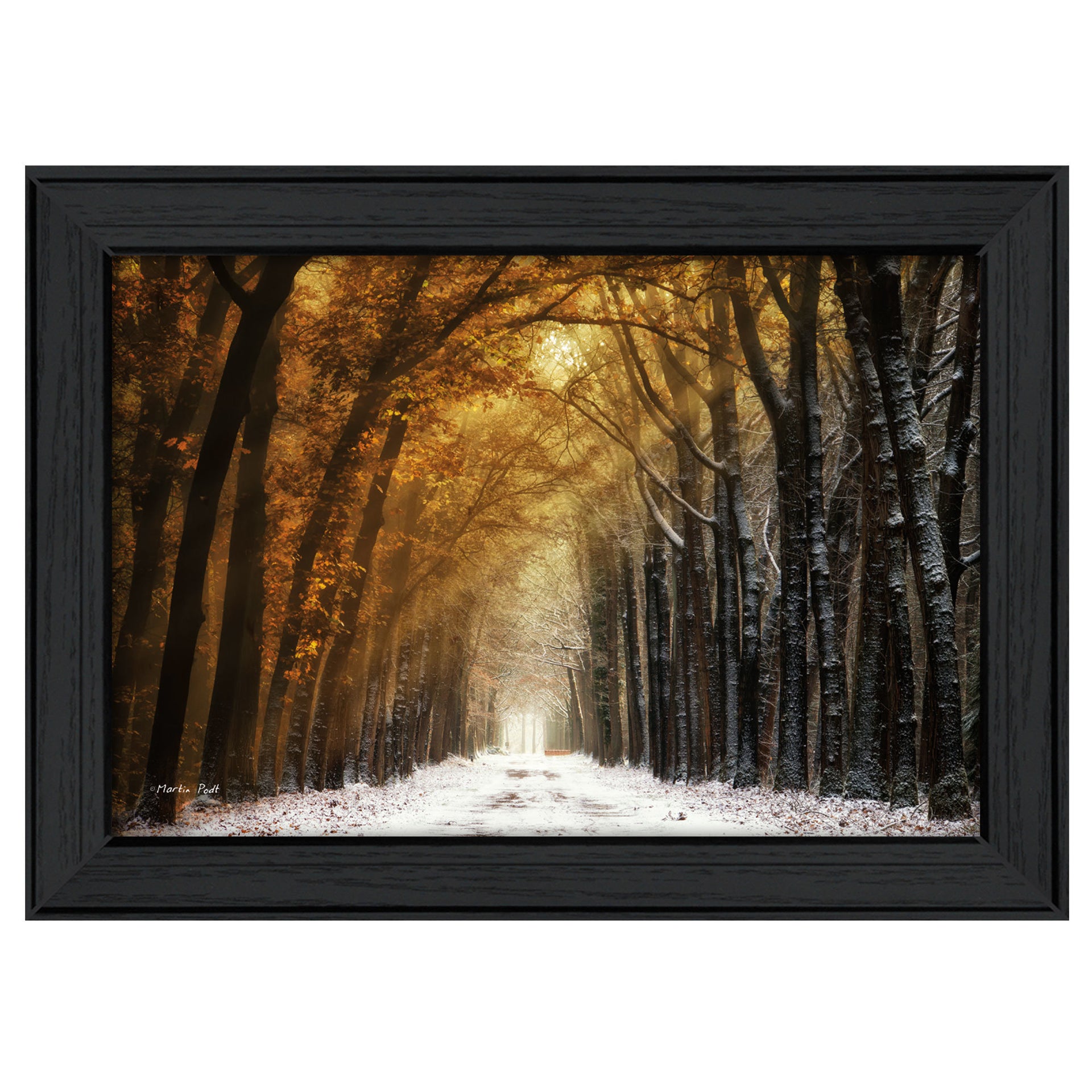 "Autumn to Winter" By Martin Podt, Printed Wall Art,  Black Frame
