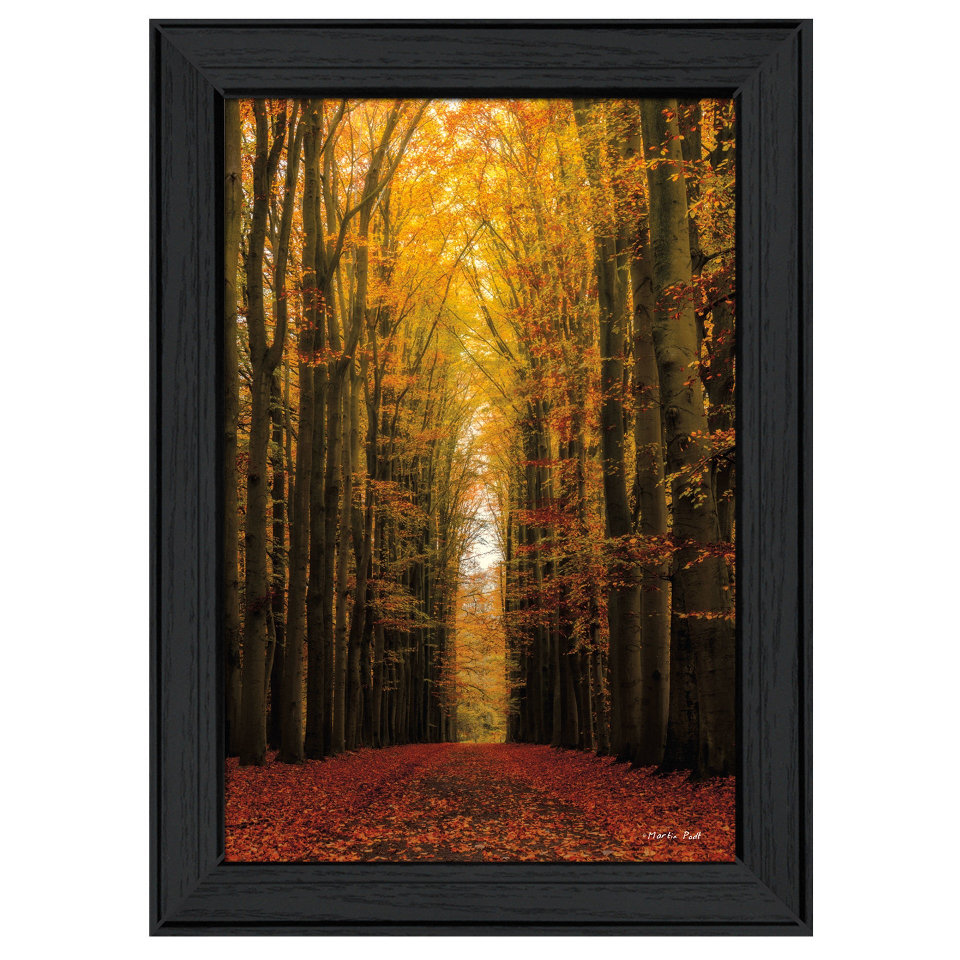 "Highway to Heaven" By Martin Podt, Printed Wall Art, Black Frame