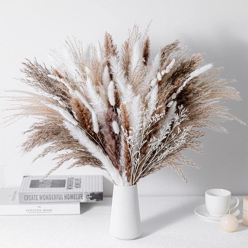 Phragmites Dried Flowers Bouquet Long Bouquet Reed Dried Natural Dried Pampa Grass Bouquet Home Wedding Living Room Decoration